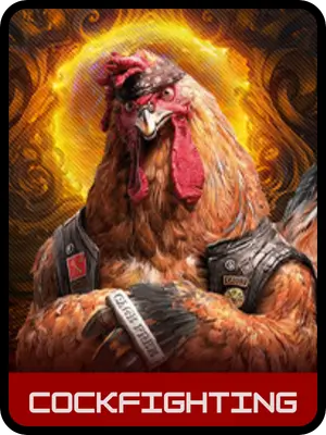Cockfighting
