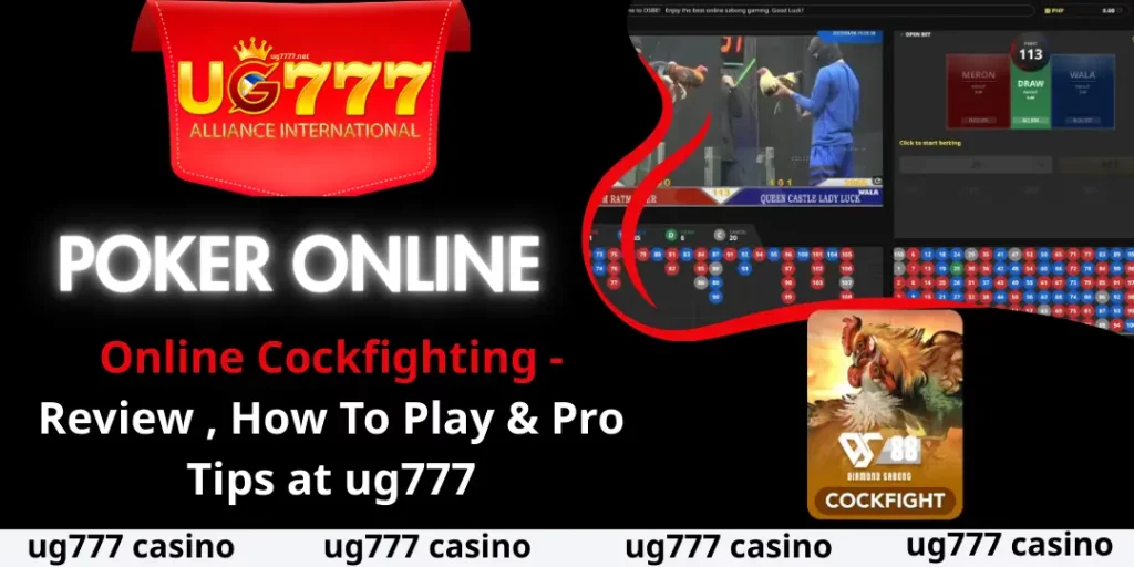 Online Cockfighting at ug777