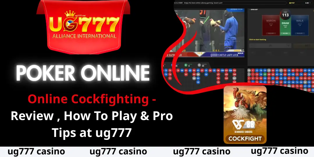 Online Cockfighting at ug777